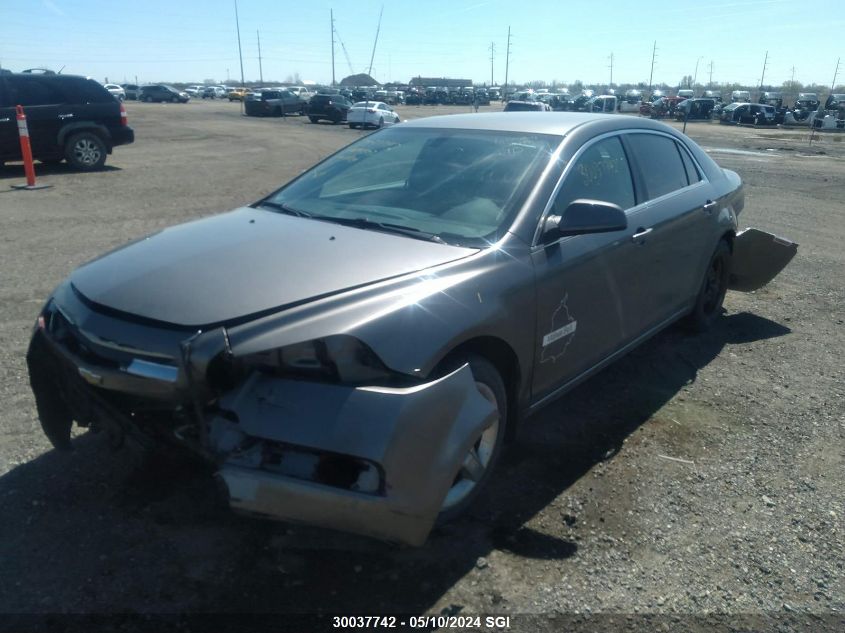 2010 Chevrolet Malibu 1Lt VIN: 1G1ZC5E03A4147503 Lot: 30037742