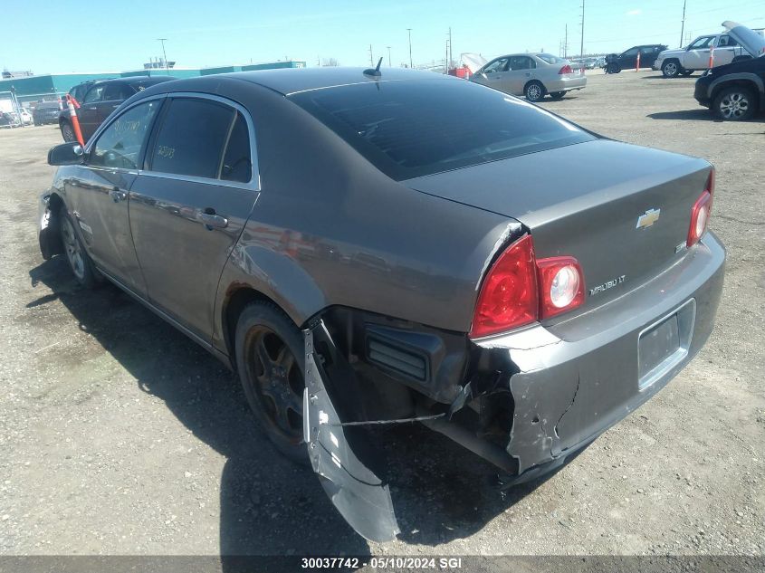 2010 Chevrolet Malibu 1Lt VIN: 1G1ZC5E03A4147503 Lot: 30037742