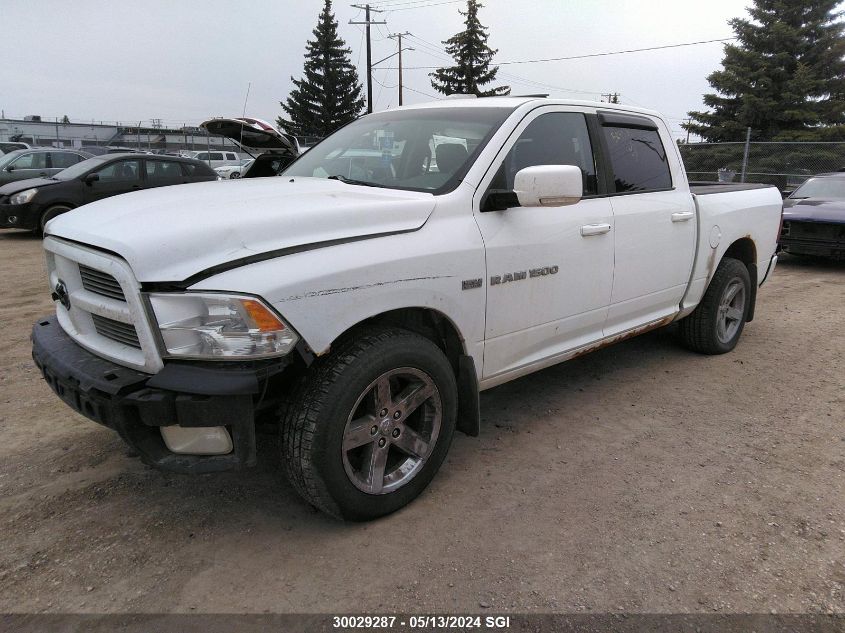 2011 Dodge Ram 1500 VIN: 1D7RV1CT1BS585902 Lot: 30029287