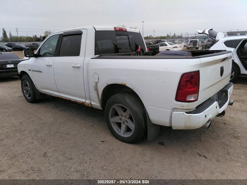 2011 Dodge Ram 1500 VIN: 1D7RV1CT1BS585902 Lot: 30029287