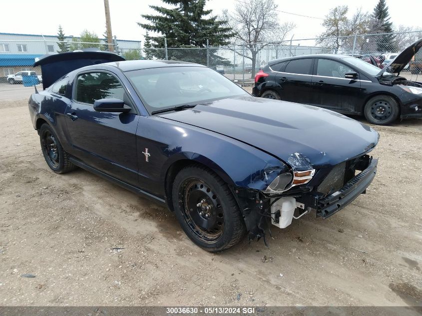 2011 Ford Mustang VIN: 1ZVBP8AM7B5166717 Lot: 30036630