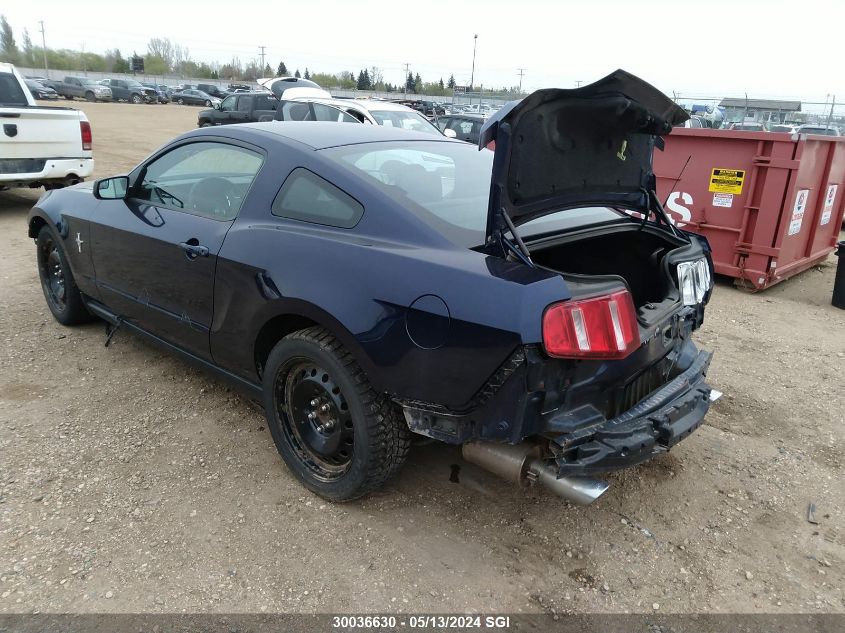 2011 Ford Mustang VIN: 1ZVBP8AM7B5166717 Lot: 30036630