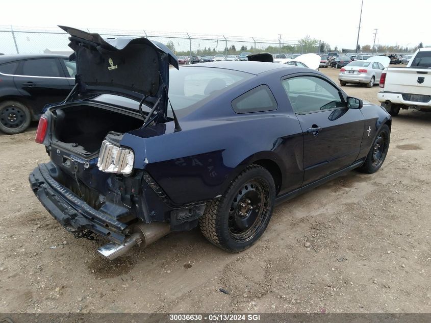 2011 Ford Mustang VIN: 1ZVBP8AM7B5166717 Lot: 30036630