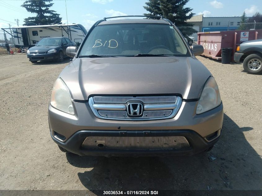 2004 Honda Cr-V Ex VIN: JHLRD78914C804192 Lot: 30036534