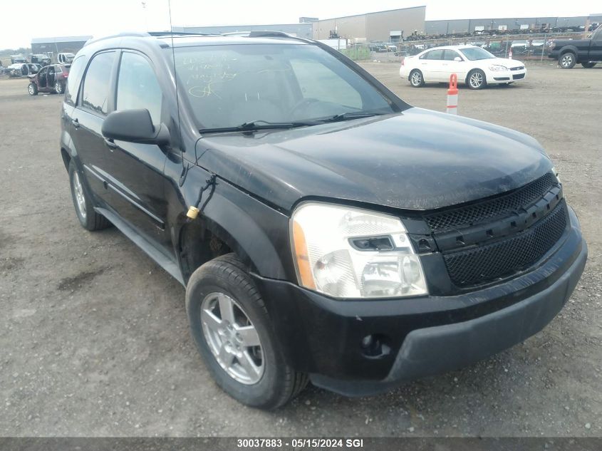 2005 Chevrolet Equinox Lt VIN: 2CNDL63F256140203 Lot: 30037883