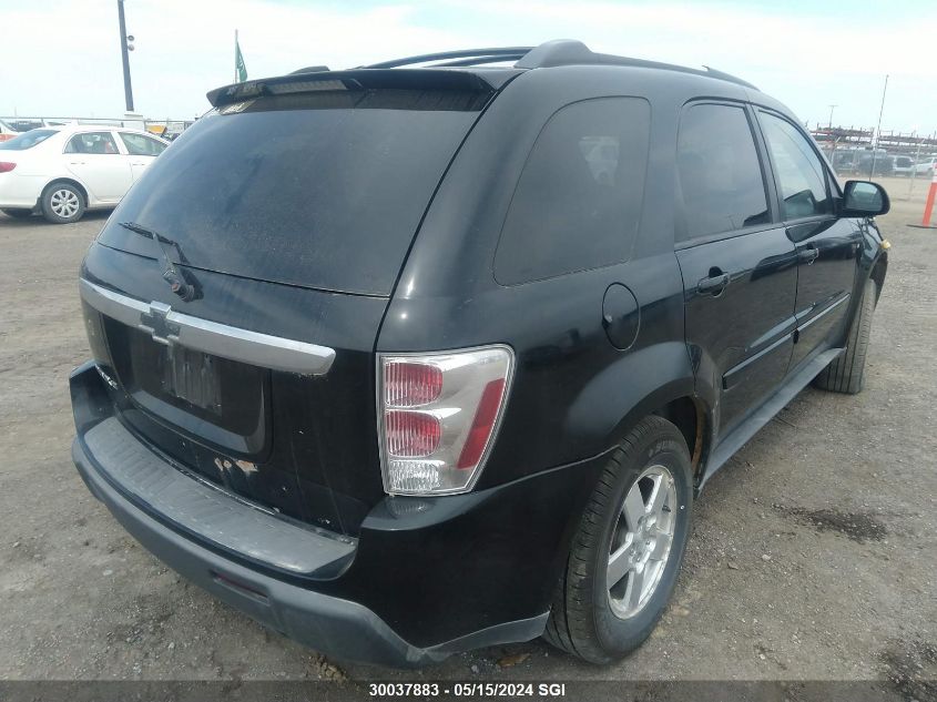 2005 Chevrolet Equinox Lt VIN: 2CNDL63F256140203 Lot: 30037883