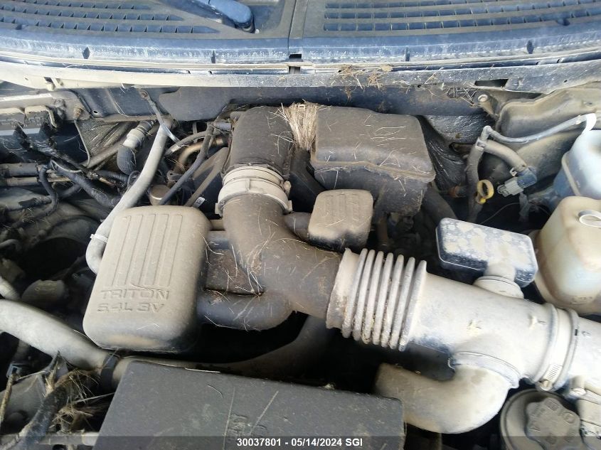 2010 Ford F150 Supercrew VIN: 1FTFW1EV2AFD67841 Lot: 30037801