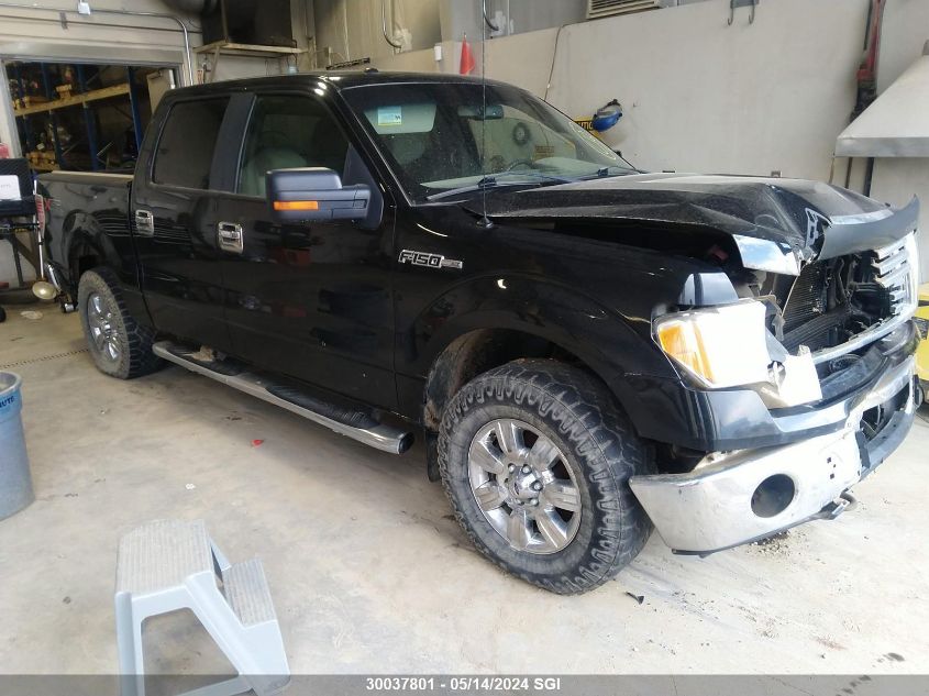 2010 Ford F150 Supercrew VIN: 1FTFW1EV2AFD67841 Lot: 30037801