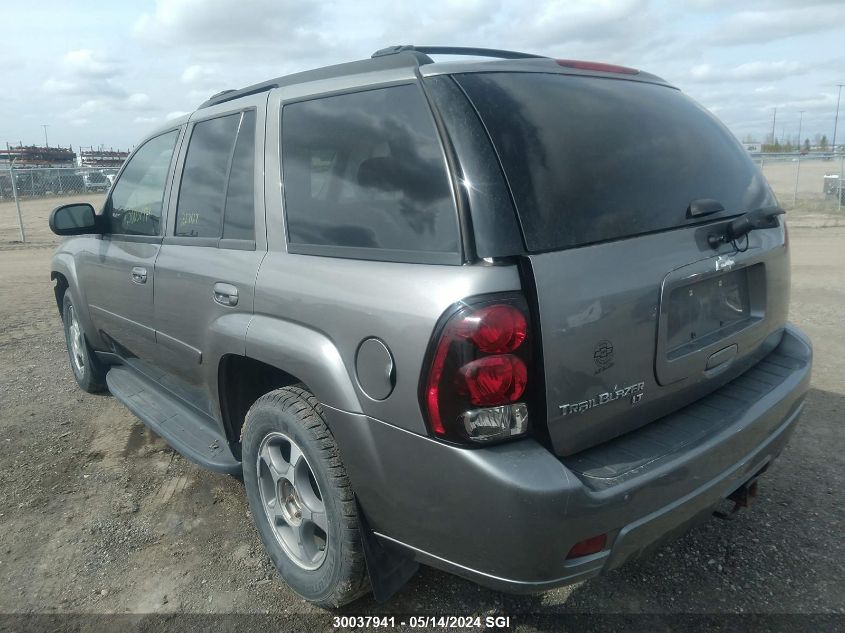 2008 Chevrolet Trailblazer Ls/Lt VIN: 1GNDT13S382167410 Lot: 30037941