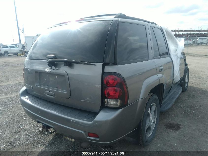 2008 Chevrolet Trailblazer Ls/Lt VIN: 1GNDT13S382167410 Lot: 30037941