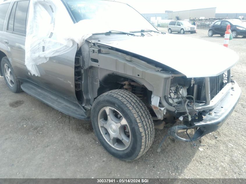 2008 Chevrolet Trailblazer Ls/Lt VIN: 1GNDT13S382167410 Lot: 30037941