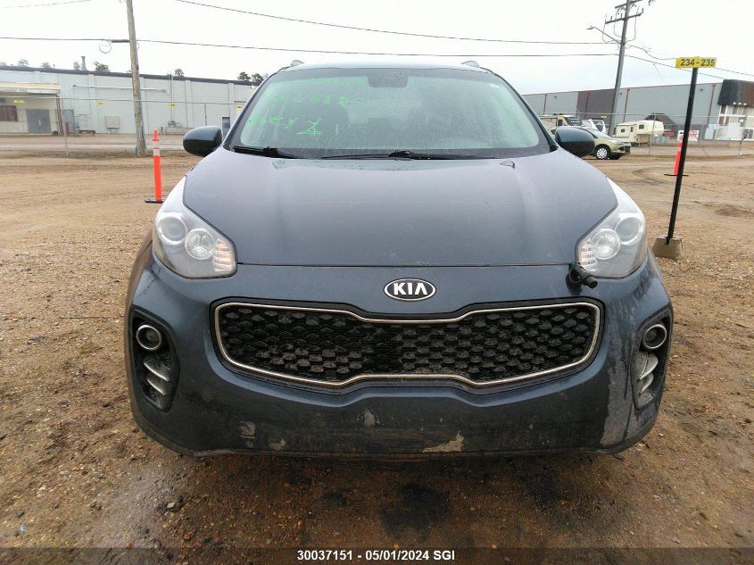 2017 Kia Sportage Lx VIN: KNDPMCAC8H7182112 Lot: 30037151