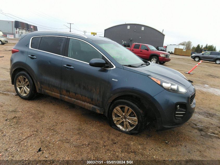 2017 Kia Sportage Lx VIN: KNDPMCAC8H7182112 Lot: 30037151