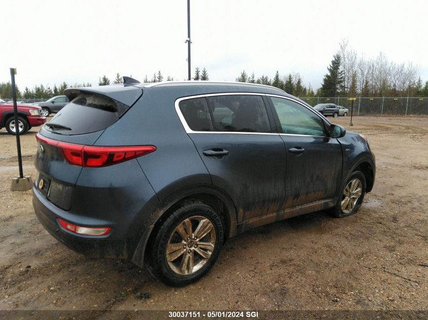 2017 Kia Sportage Lx VIN: KNDPMCAC8H7182112 Lot: 30037151