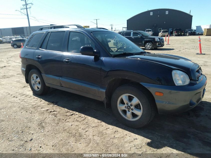 2005 Hyundai Santa Fe VIN: KM8SB73D05U912035 Lot: 30037681