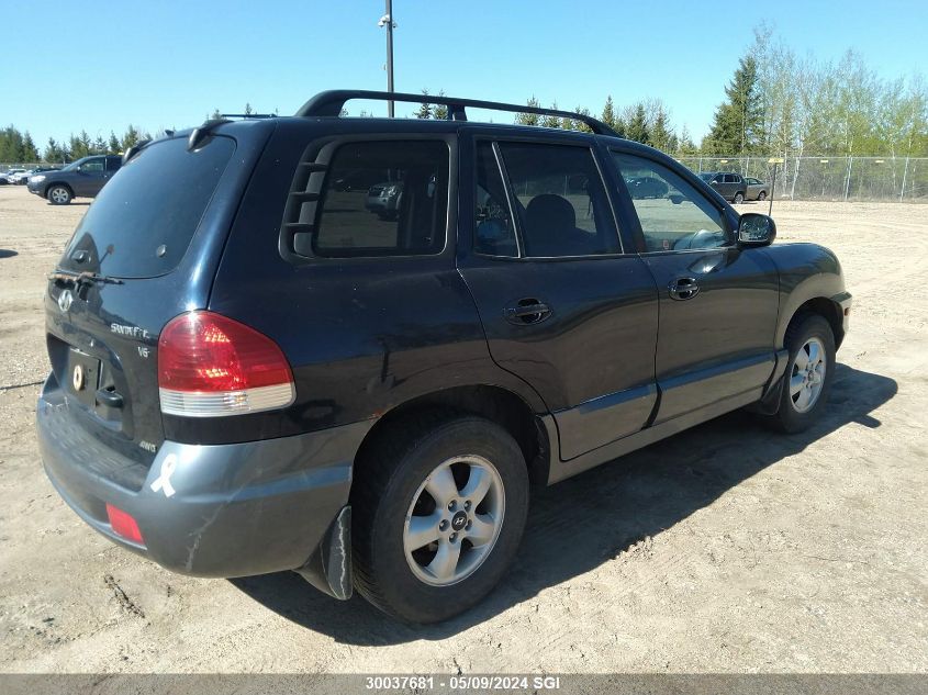 2005 Hyundai Santa Fe VIN: KM8SB73D05U912035 Lot: 30037681