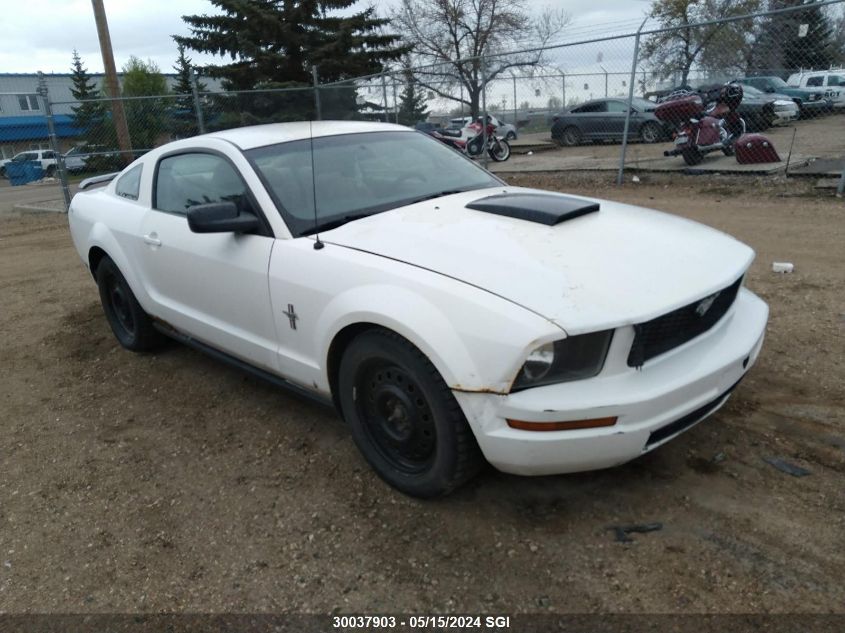 2008 Ford Mustang VIN: 1ZVHT80N085181150 Lot: 30037903