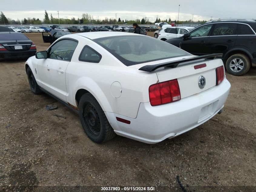 2008 Ford Mustang VIN: 1ZVHT80N085181150 Lot: 30037903