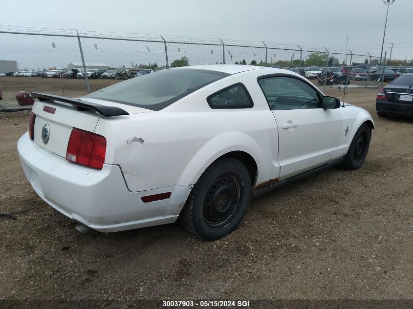 2008 Ford Mustang VIN: 1ZVHT80N085181150 Lot: 30037903