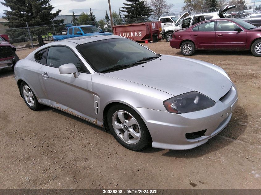 2005 Hyundai Tiburon Se VIN: KMHHN65D45U160073 Lot: 30036808