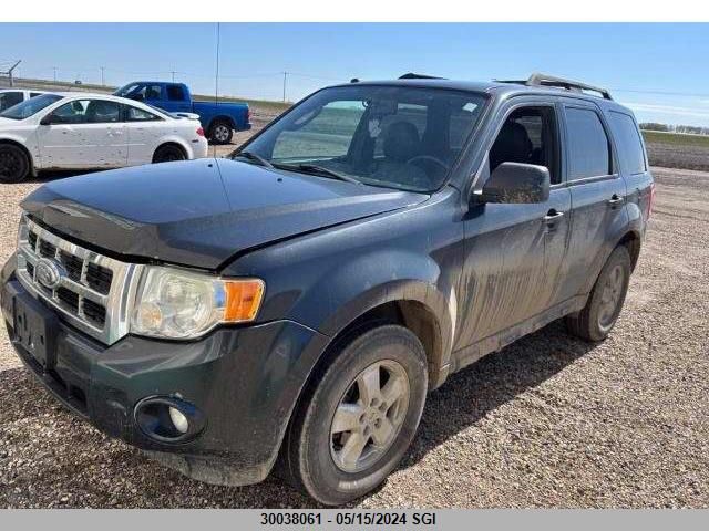 2009 Ford Escape Xlt VIN: 1FMCU03G79KA48179 Lot: 30038061