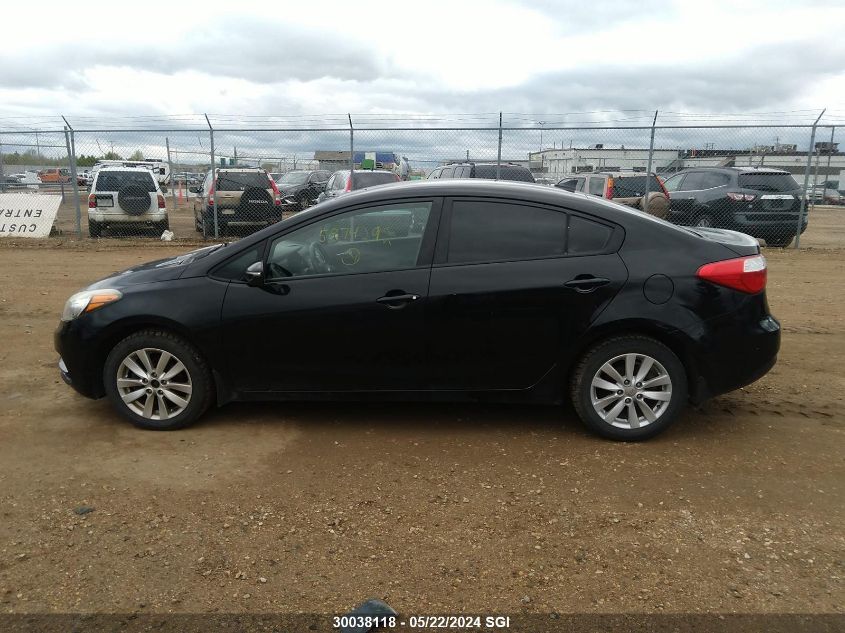 2014 Kia Forte Lx VIN: KNAFX4A6XE5060102 Lot: 30038118