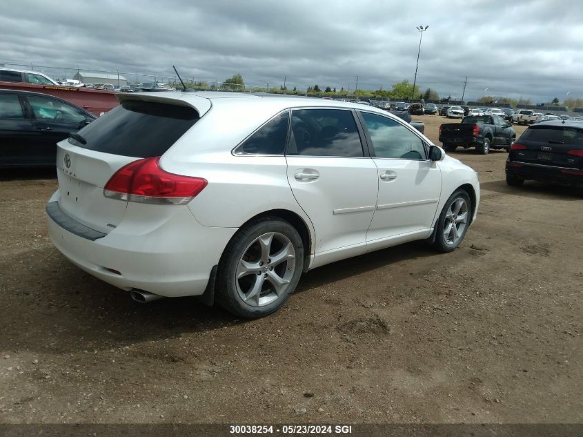 2009 Toyota Venza VIN: 4T3BK11A89U018688 Lot: 30038254