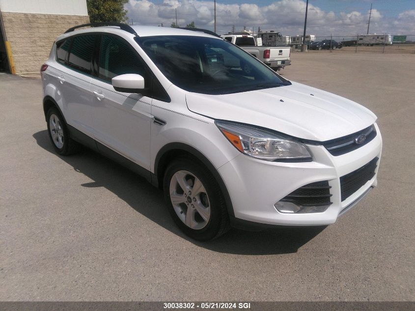 2014 Ford Escape Se VIN: 1FMCU0GX0EUD39194 Lot: 30038302