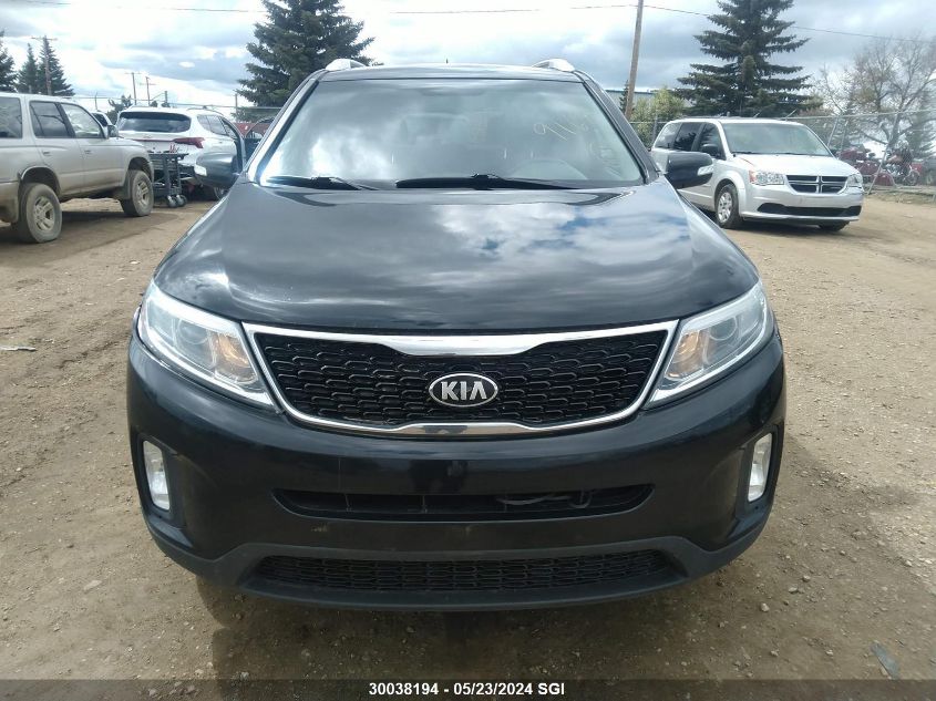 2014 Kia Sorento Lx VIN: 5XYKTDA73EG499168 Lot: 30038194