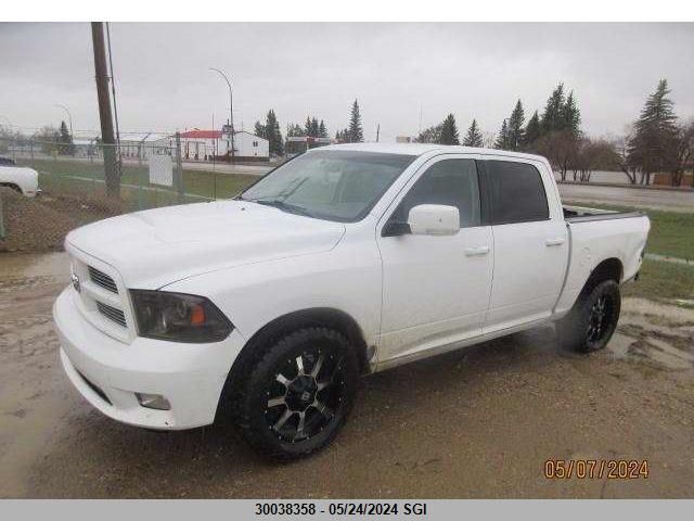 2010 Dodge Ram 1500 VIN: 1D7RV1CT7AS219943 Lot: 30038358