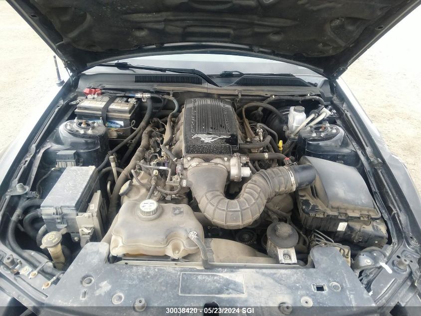 2009 Ford Mustang Gt VIN: 1ZVHT82H395102983 Lot: 30038420