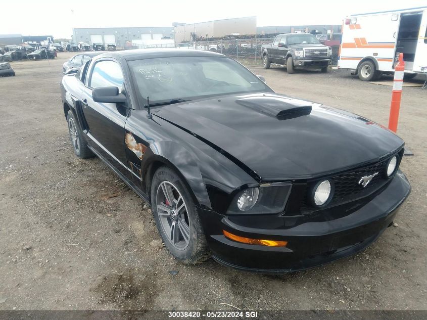 2009 Ford Mustang Gt VIN: 1ZVHT82H395102983 Lot: 30038420