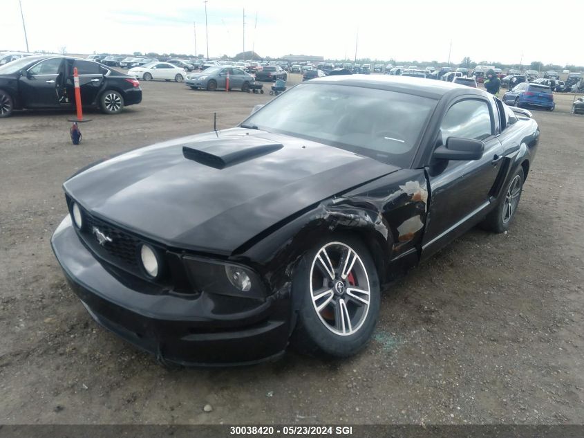 2009 Ford Mustang Gt VIN: 1ZVHT82H395102983 Lot: 30038420