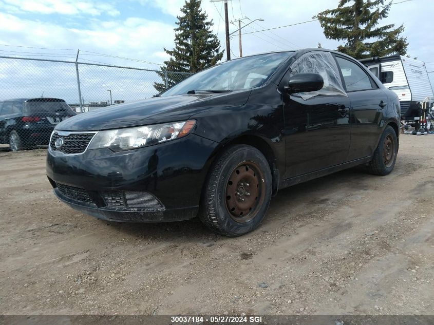 2012 Kia Forte Lx VIN: KNAFT4A22C5520228 Lot: 30037184