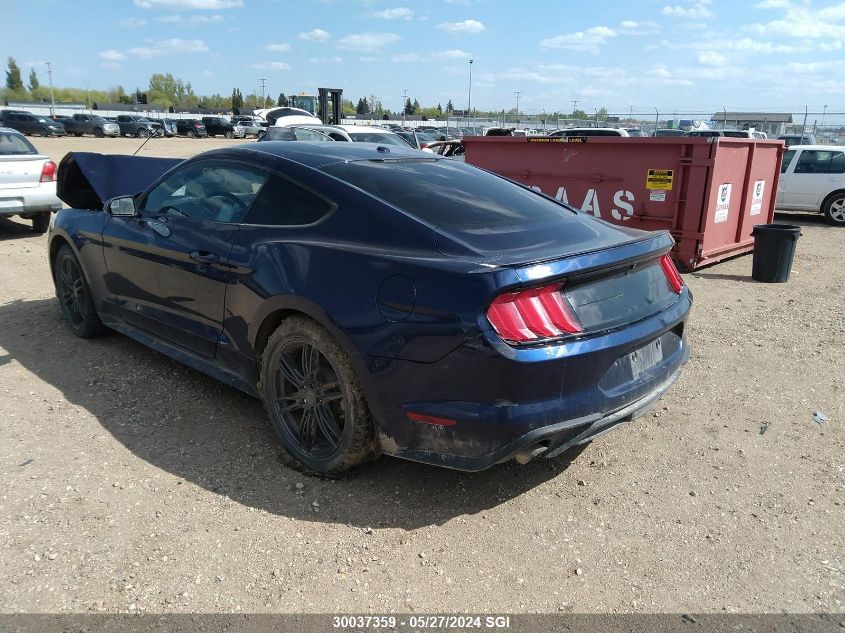 2019 Ford Mustang VIN: 1FA6P8TH1K5180090 Lot: 30037359