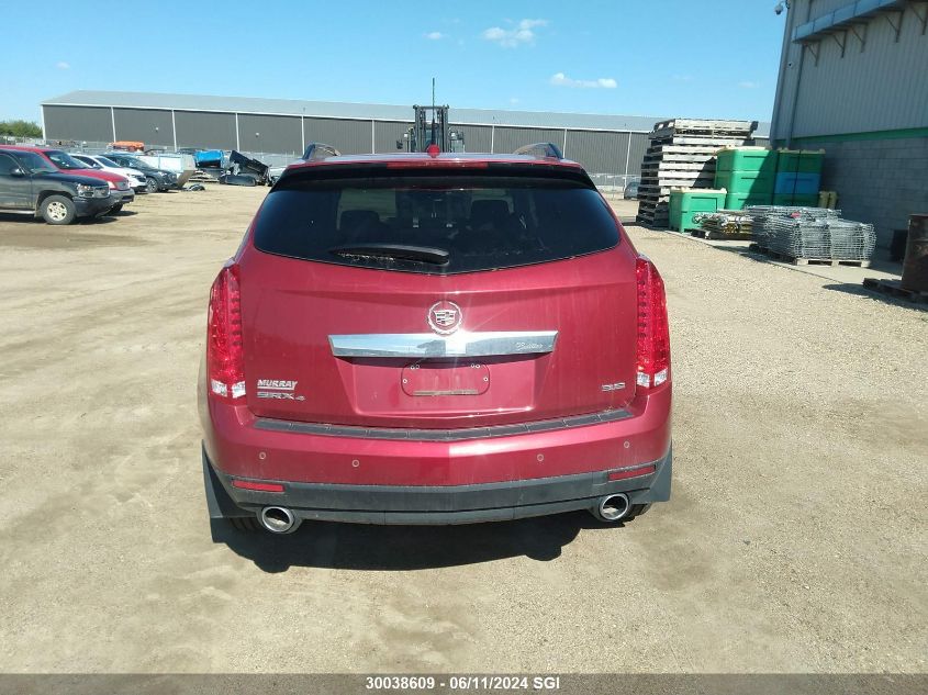 2013 Cadillac Srx Premium Collection VIN: 3GYFNJE36DS655308 Lot: 30038609