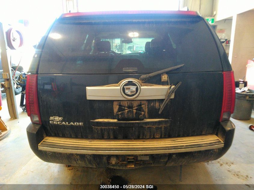 2007 Cadillac Escalade Luxury VIN: 1GYFK63837R364499 Lot: 30038450