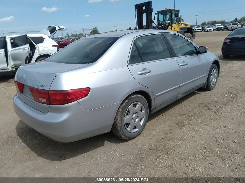 2005 Honda Accord Lx VIN: 1HGCM55465A811685 Lot: 30038628