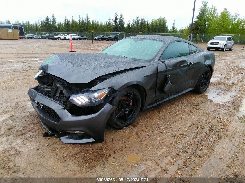 2015 Ford Mustang VIN: 1FA6P8TH4F5432128 Lot: 30038256