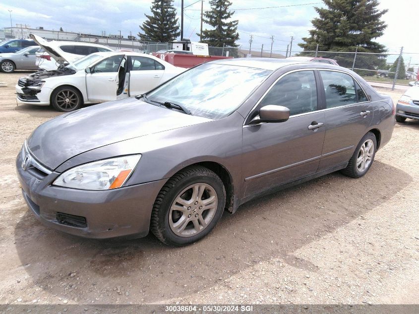 2006 Honda Accord Se VIN: 1HGCM56396A808836 Lot: 30038604