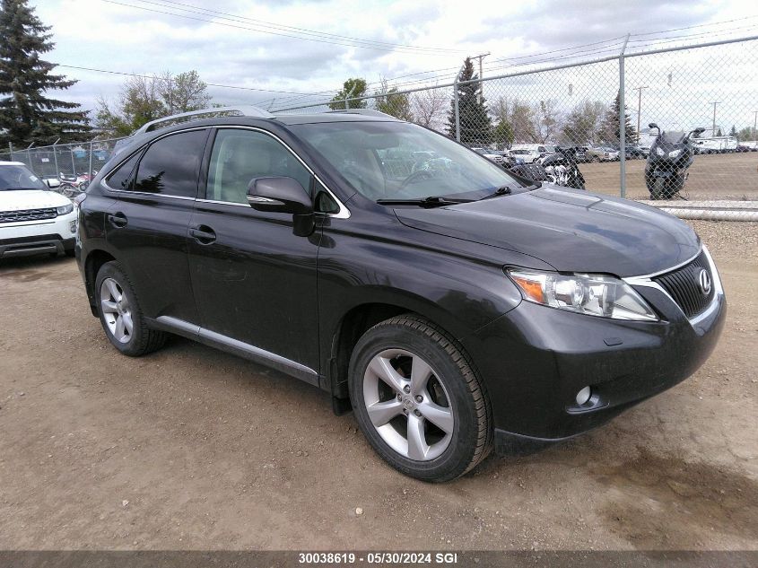 2010 Lexus Rx 350 VIN: 2T2BK1BA7AC004127 Lot: 30038619