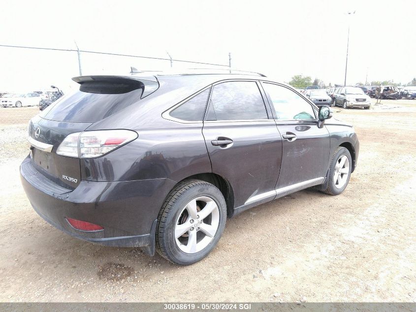 2010 Lexus Rx 350 VIN: 2T2BK1BA7AC004127 Lot: 30038619