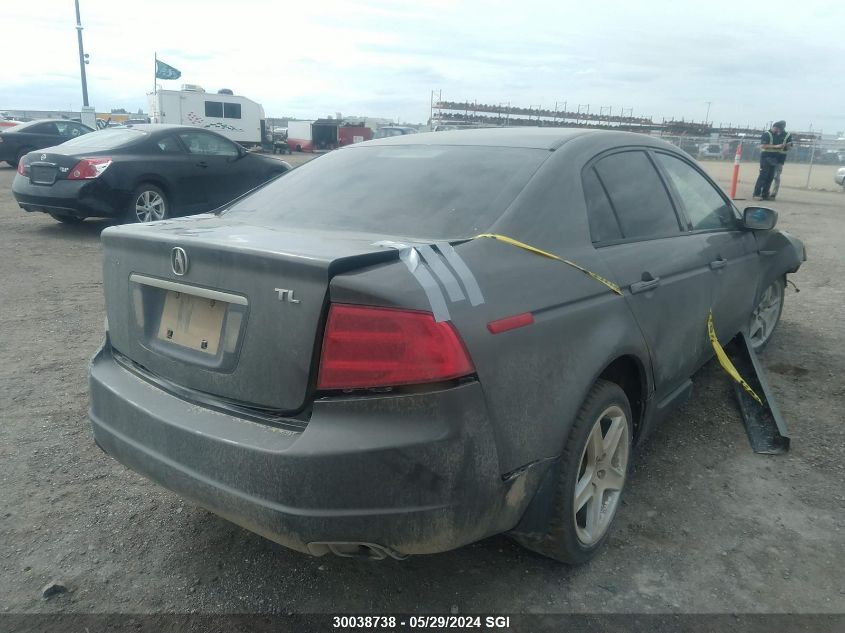 2006 Acura 3.2Tl VIN: 19UUA66256A800050 Lot: 30038738