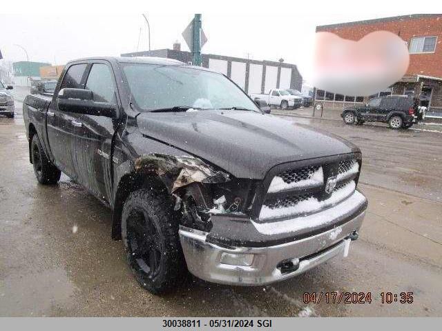 2010 Dodge Ram 1500 VIN: 1D7RV1CT1AS253702 Lot: 30038811