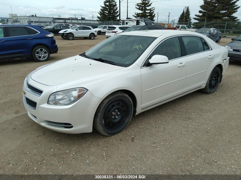 2010 Chevrolet Malibu 1Lt VIN: 1G1ZC5E09AF154993 Lot: 30038331