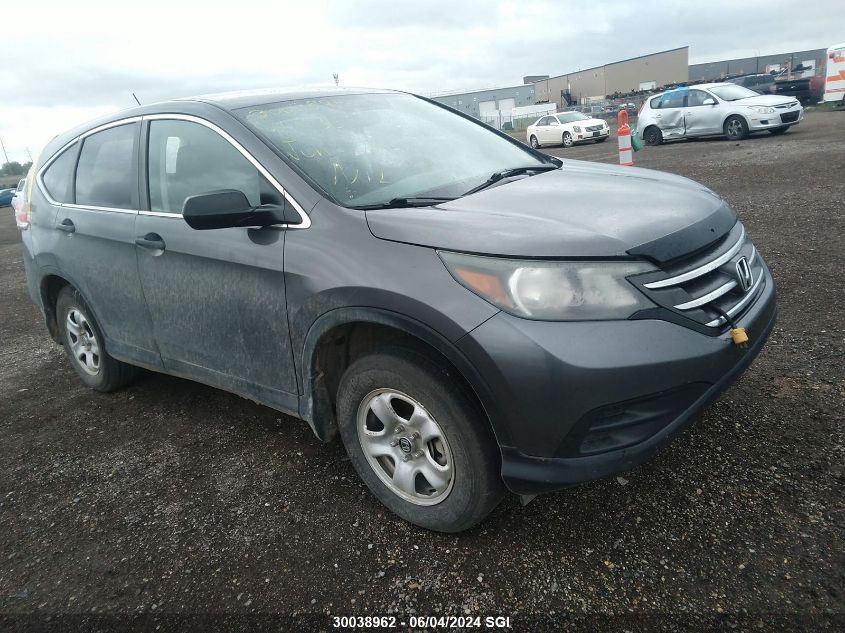 2014 Honda Cr-V Lx VIN: 2HKRM4H30EH113698 Lot: 30038962