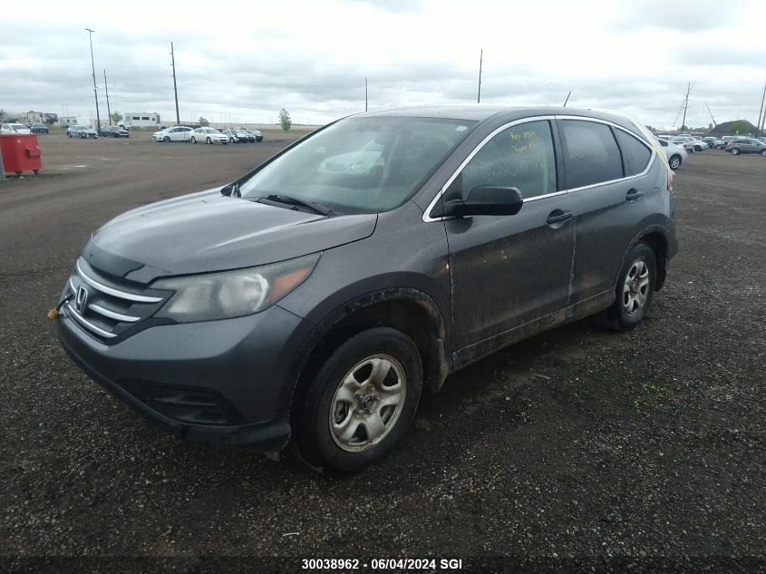 2014 Honda Cr-V Lx VIN: 2HKRM4H30EH113698 Lot: 30038962