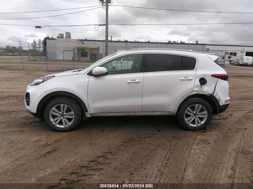 2017 Kia Sportage Lx VIN: KNDPMCAC3H7250378 Lot: 30038454