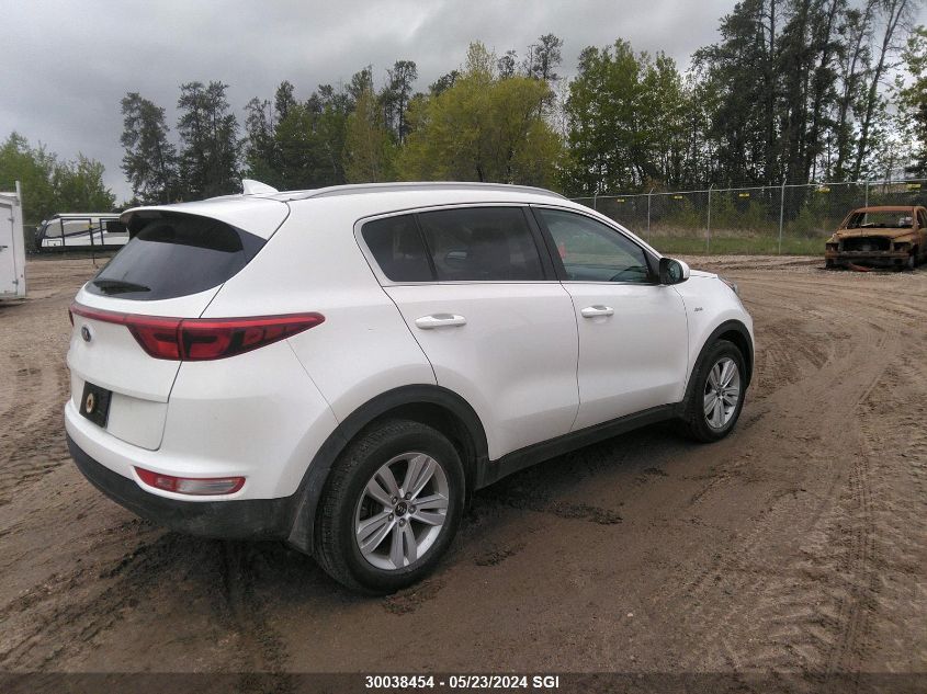 2017 Kia Sportage Lx VIN: KNDPMCAC3H7250378 Lot: 30038454