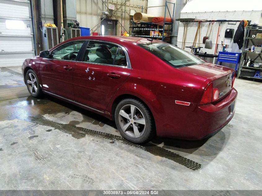 2011 Chevrolet Malibu 1Lt VIN: 1G1ZC5EU1BF319150 Lot: 30038973